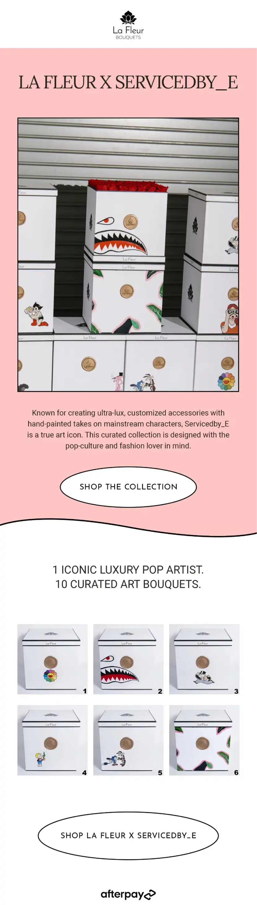 New Collection
